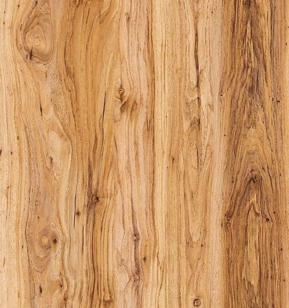 Veneer01