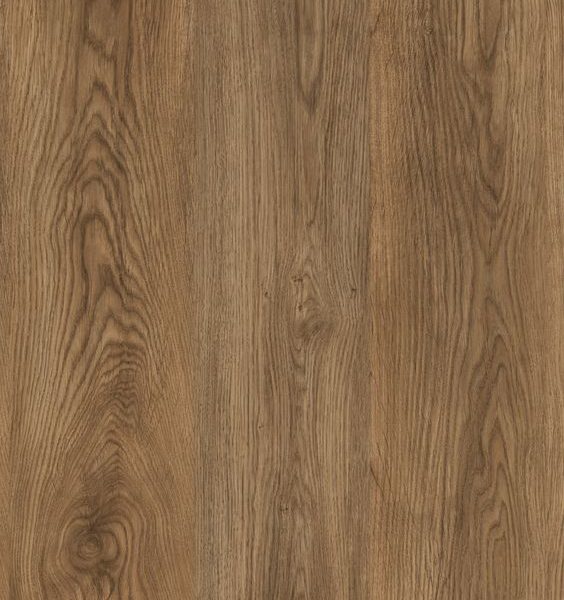 Veneer02