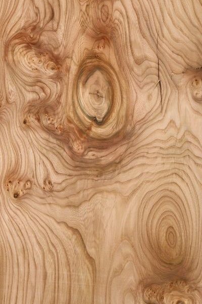 Veneer03